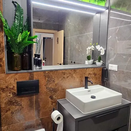 Apartmanica 5a, Private Wellness, Garage, Center *