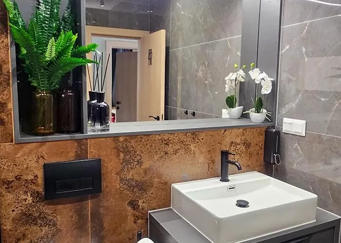 Apartmanica 5a, Private Wellness, Garage, Center *